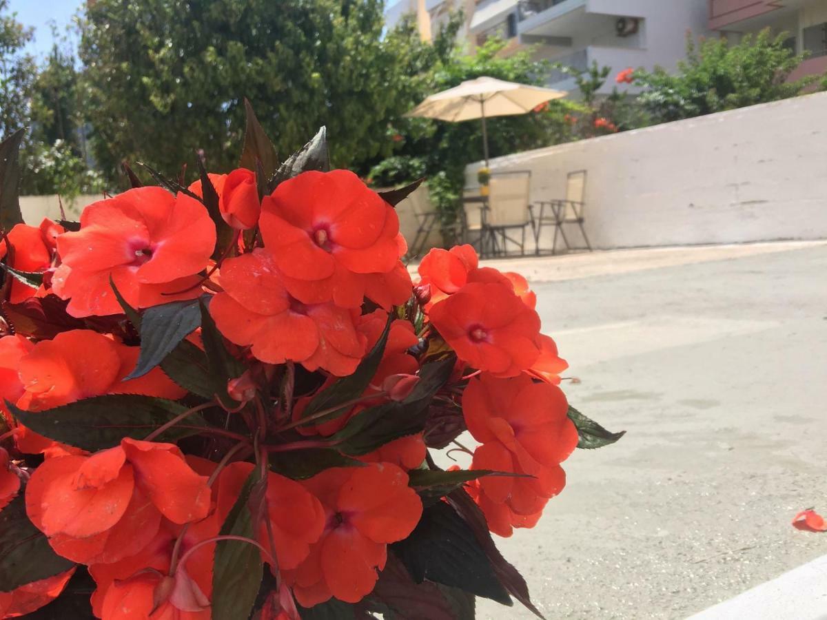 Renovated Apt 100M From Beach Wifi Ac Anavyssos Exterior foto